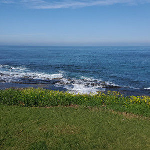 Meet your Posher, Carissa